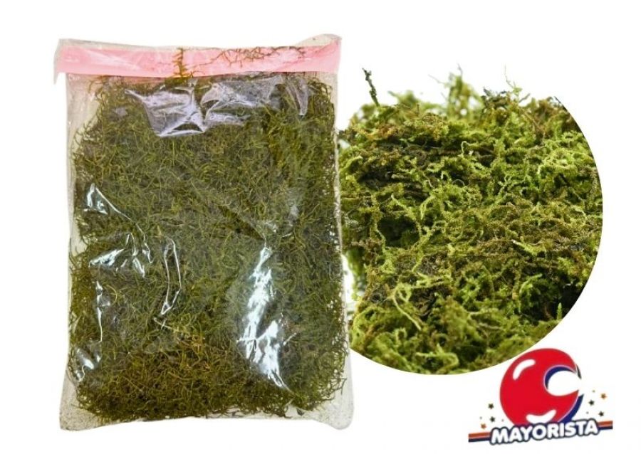 MUSGO EN BOLSA GRANDE