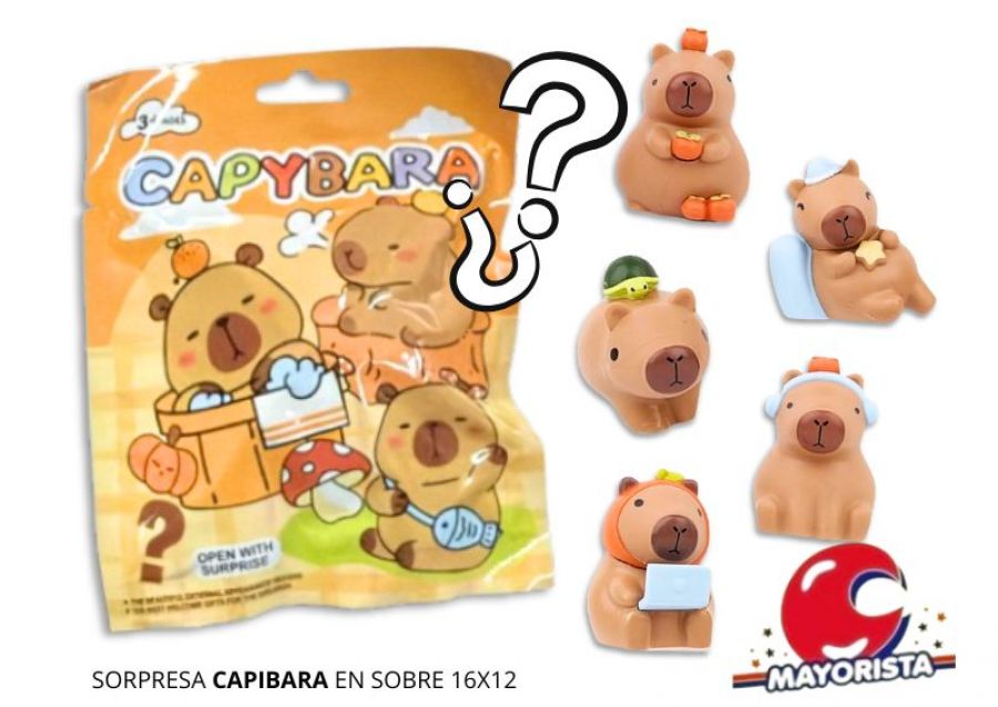 SORPRESA CAPIBARA EN SOBRE 16X12 - SOL