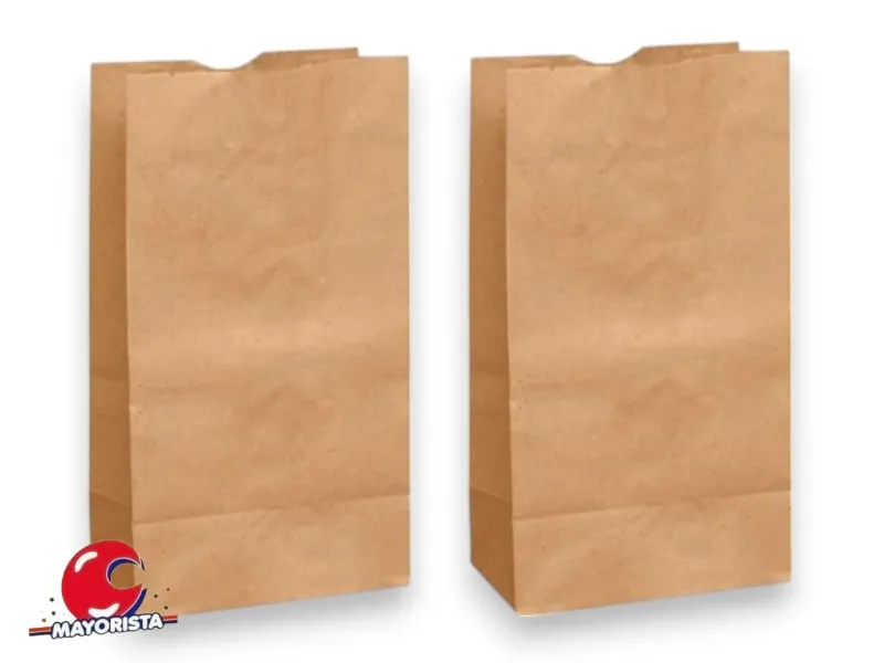 BOLSITA PAPEL X 10 NATURAL 15X25X8 (EVACOR)